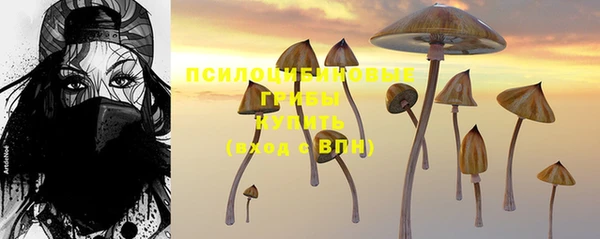 Альфа ПВП Алексин
