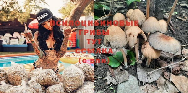 Альфа ПВП Алексин