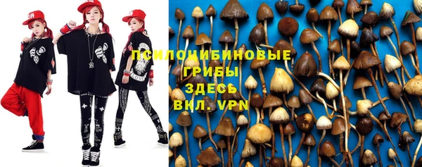 прущие грибы Алексеевка